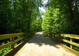 Retiring-in-North-Carolina