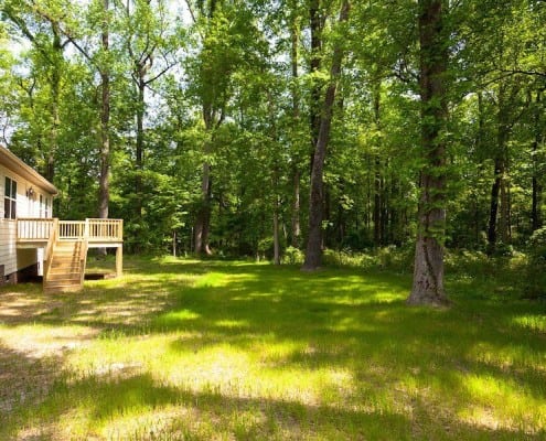 025_Backyard