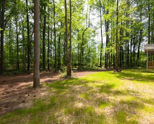 025_Backyard