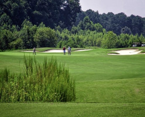 DSC_blp_golf1