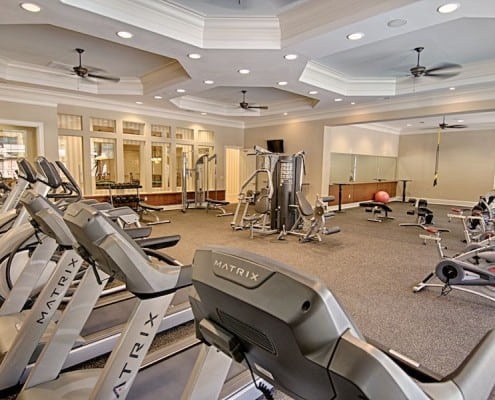 DSC_fitness