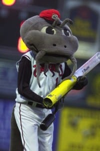 Carolina Mudcats Baseball