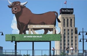 Durham Bulls Baseball