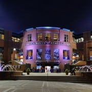 Durham-Bulls-Baseball-Main-Photo-NC Living Durham Bulls Baseball