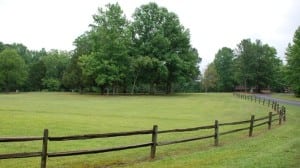 great-state-park2