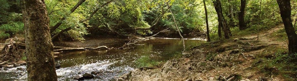 great-state-park5