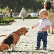rocky-mount-paws-in-the-park-belmont-lake-preserve