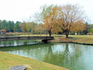 rocky-mount-city-lake-and-park-BLP