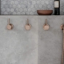 New-Home-Design-Trends-Belmont Lake Preserve