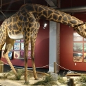 Rocky-Mount-Childrens-Museum