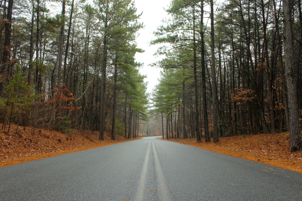 North-Carolina-Relocation- BLP