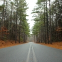 North-Carolina-Relocation- BLP