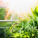 home-design-trends-belmont