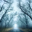haunted-roads-in-north-carolina-belmot-lake-preserve