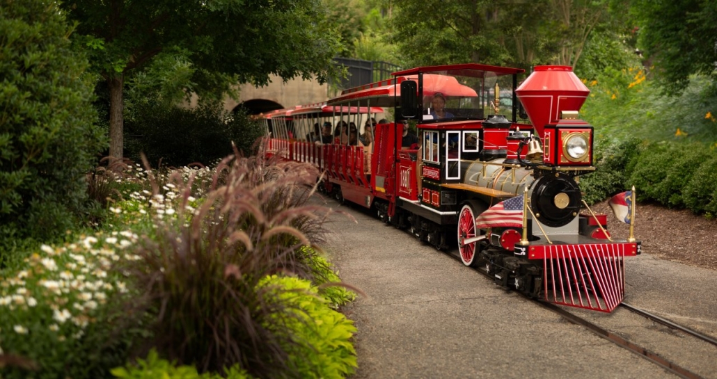 raleigh-activities-for-kids-belmont-lake-preserve