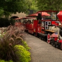 raleigh-activities-for-kids-belmont-lake-preserve