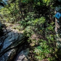 best-campsites-in-nc-belmont-lake-preserve