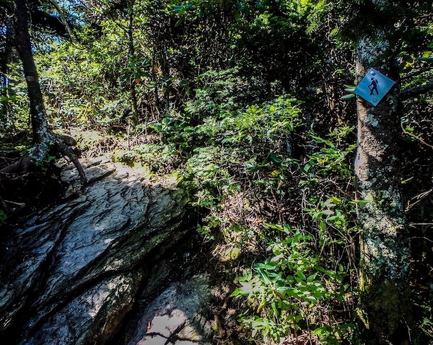 best-campsites-in-nc-belmont-lake-preserve