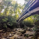 camping-in-north-carolina-belmont-lake-preserve