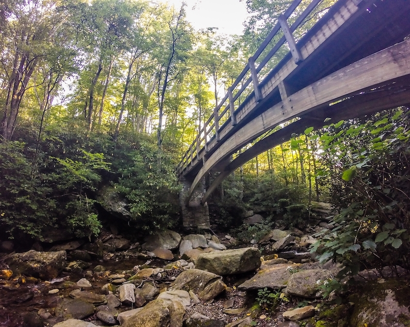 camping-in-north-carolina-belmont-lake-preserve